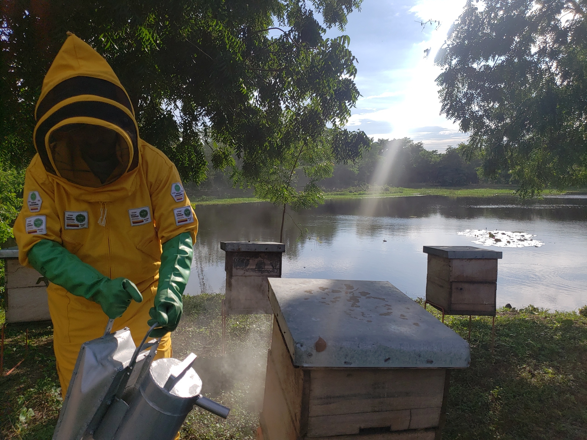 Ser apicultor