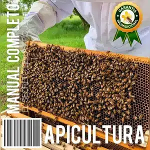 curso apicultura en linea economico
